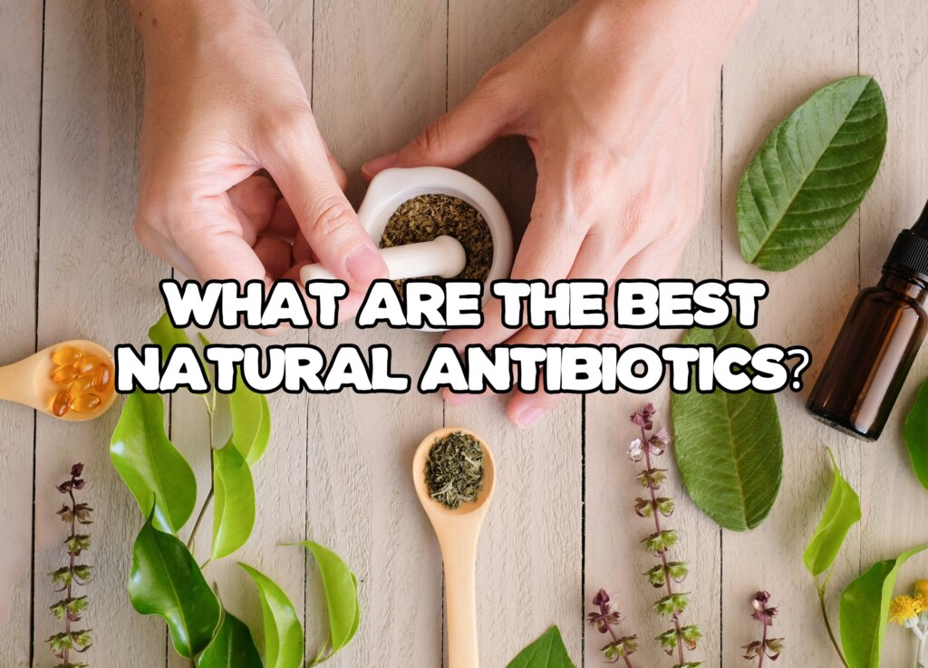 What Are the Best Natural Antibiotics?