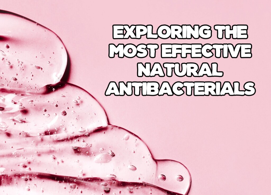Exploring the Most Effective Natural Antibacterials: A Comprehensive Guide