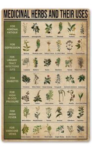 Medical Herbs: Nature’s Pharmacy and Their Uses