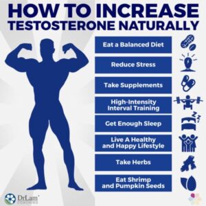 Boosting Testosterone Naturally
