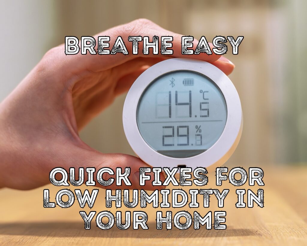Breathe Easy: Quick Fixes for Low Humidity in Your Home