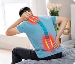 Back to Basics: Easing Spondylosis from Neck to Tail