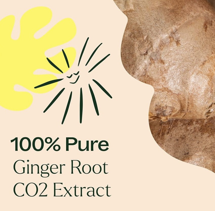 Ginger Oil Benefits: What It Can Really Do for You