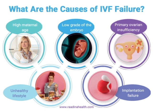 12 Days Post IVF Transfer Symptoms: What They Mean