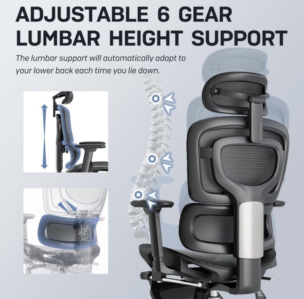 Sitting Shouldn’t Hurt! Find the Best Office Chair for Neck Pain